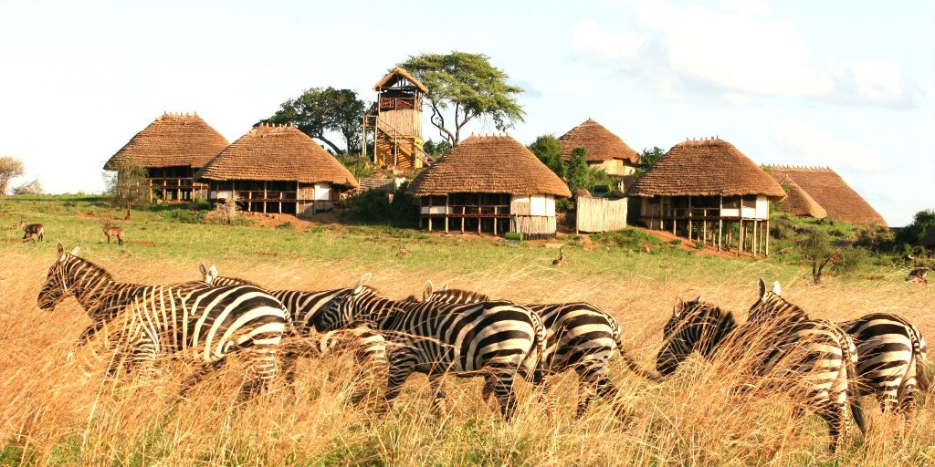 Best Time to Go on a Safari in Uganda – Ultimate Guide