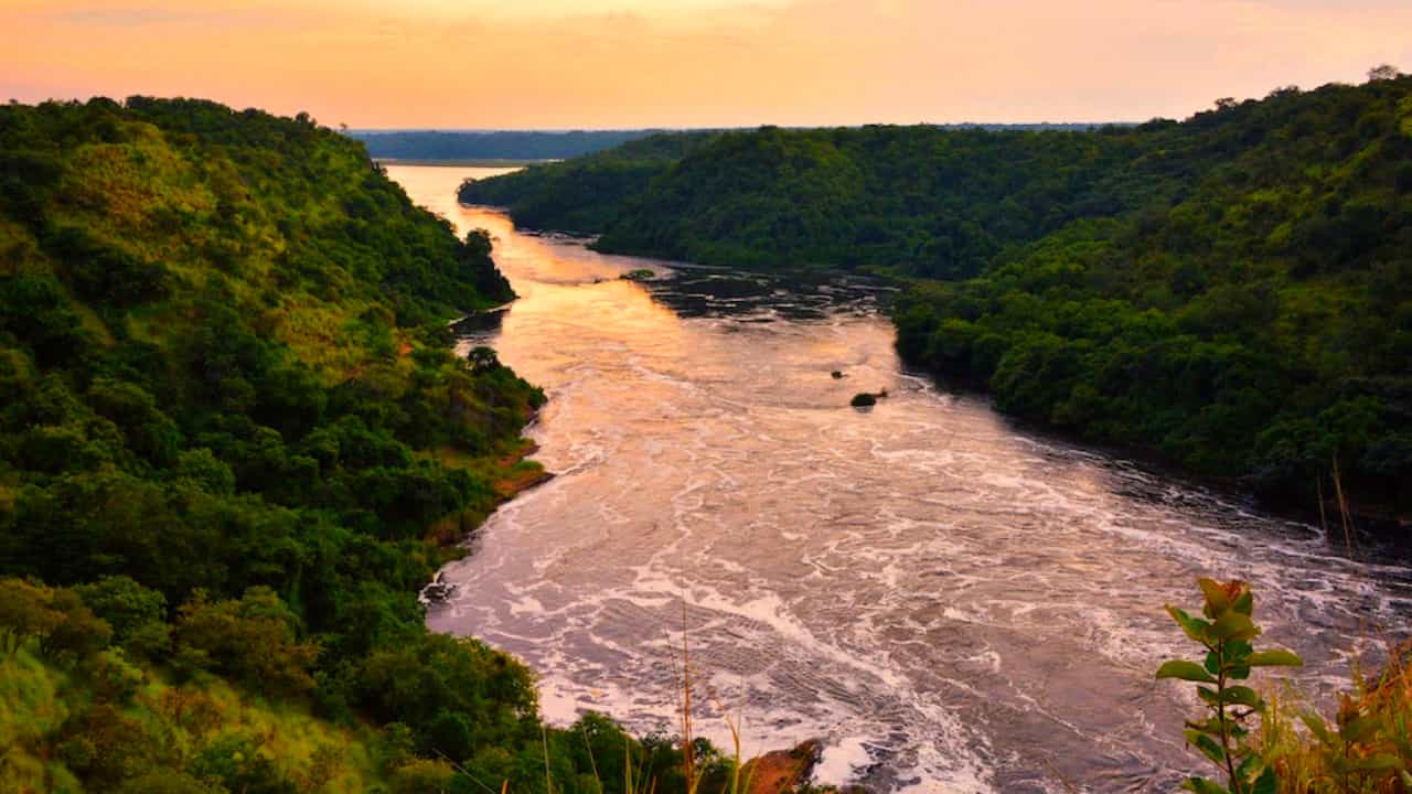 rile nile uganda safari