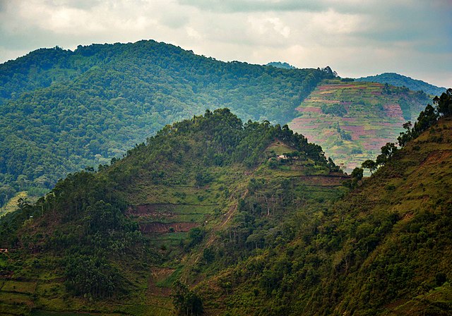 The Impact of Climate Change on Uganda’s Wildlife Safaris