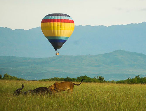 Top Activities to Enjoy During Your Uganda Safari Beyond Game Drives